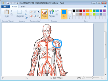 Editor de imagem externo