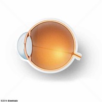 Cmara Anterior