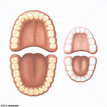 Dentio