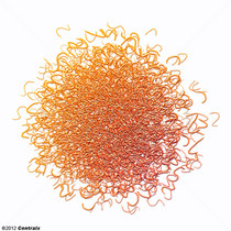 Emaranhados Neurofibrilares