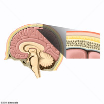 Espao Epidural