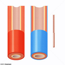 Vasos Sanguneos
