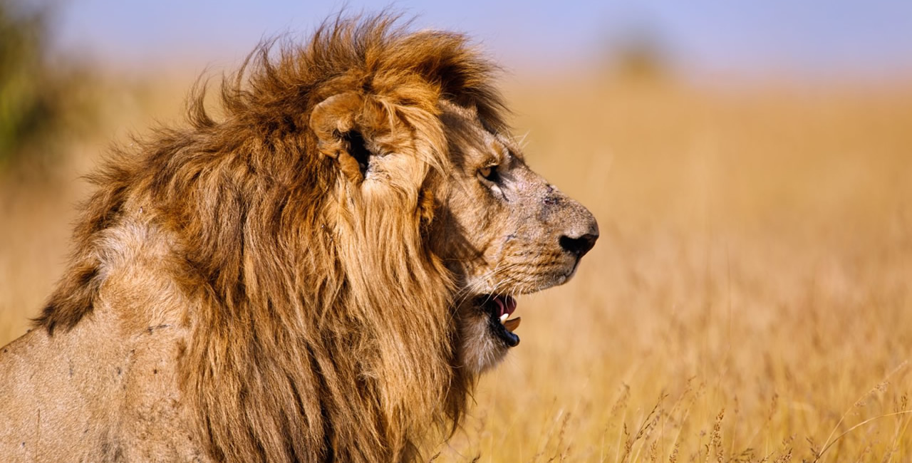 4 dicas para manter a boa imagem de seu consultório