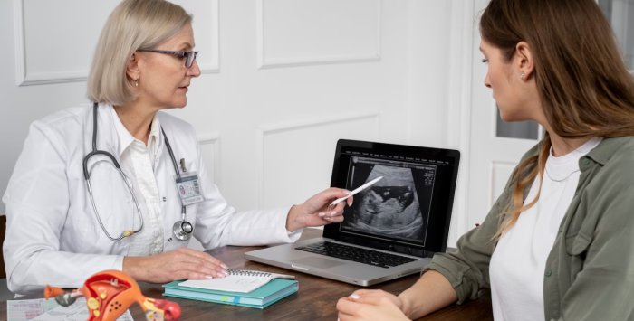 Prontuário personalizado na ginecologia e obstetrícia: otimizando o acompanhamento através da gestão estratégica do tempo